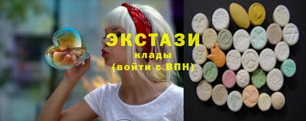 стаф Алексин