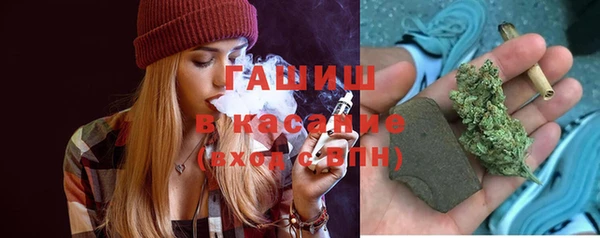 стаф Алексин