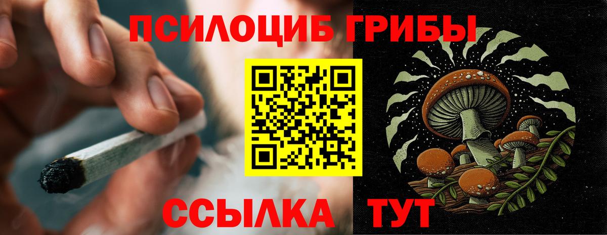 Галлюциногенные грибы GOLDEN TEACHER Батайск
